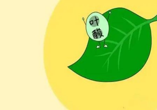 谁说怀孕前三个月不能吃面食？并非每个人都会出现不适